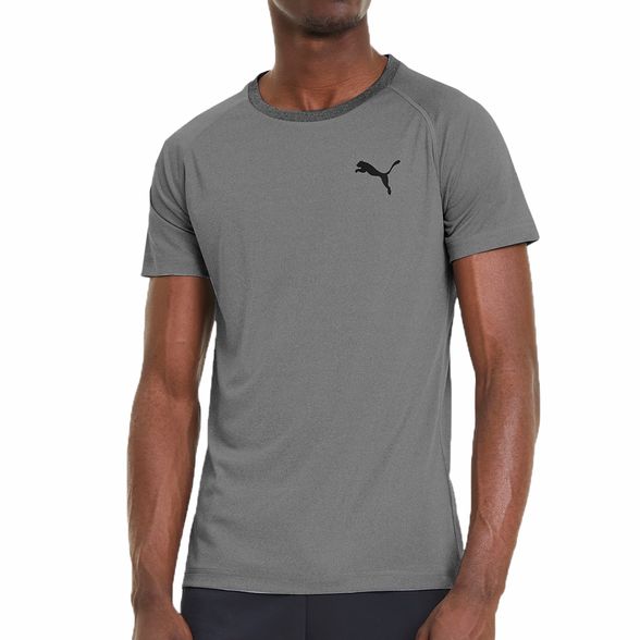 Remeras Puma | Remera Puma Hombre Training RTG Tee Gris - FerreiraSport